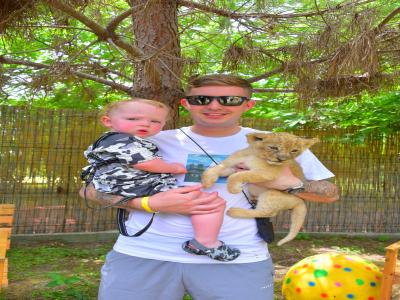 Land of Lions - Animal Planet