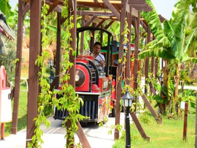 Land of Lions - Animal Planet