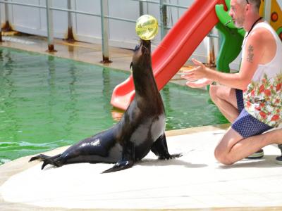 Land of Lions - Animal Planet