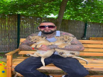 Land of Lions - Animal Planet