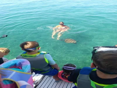 Snorkel Tour With Sea Turtle