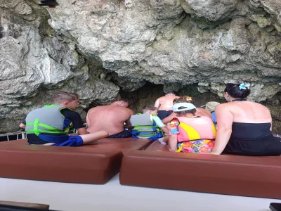 Snorkel Tour With Sea Turtle