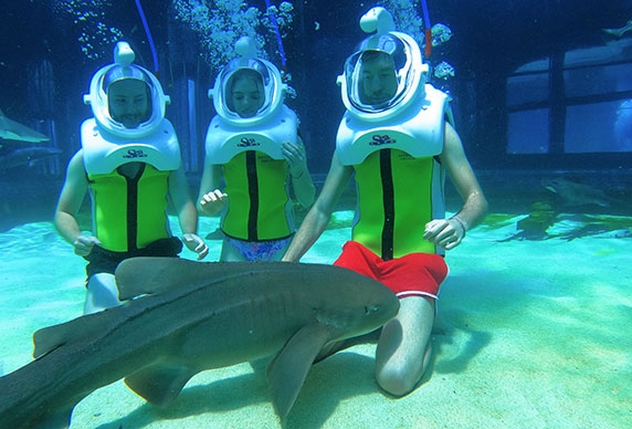 The Land Of Legends - Theme Park Antalya