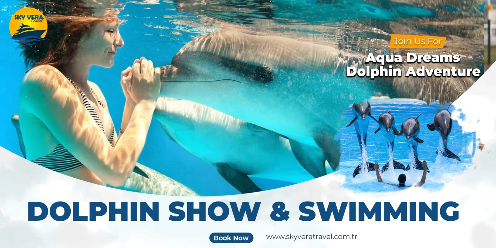 Swimming and Showing with Dolphins