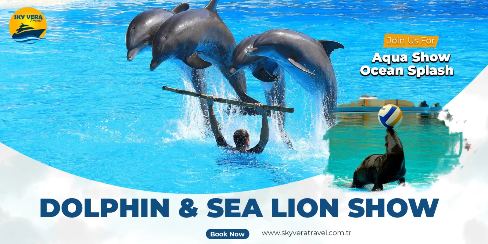 Dolphin and Sea Lion Show